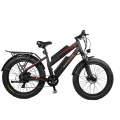 dynavolt double battery 48V 11.6Ah electric mountain bike